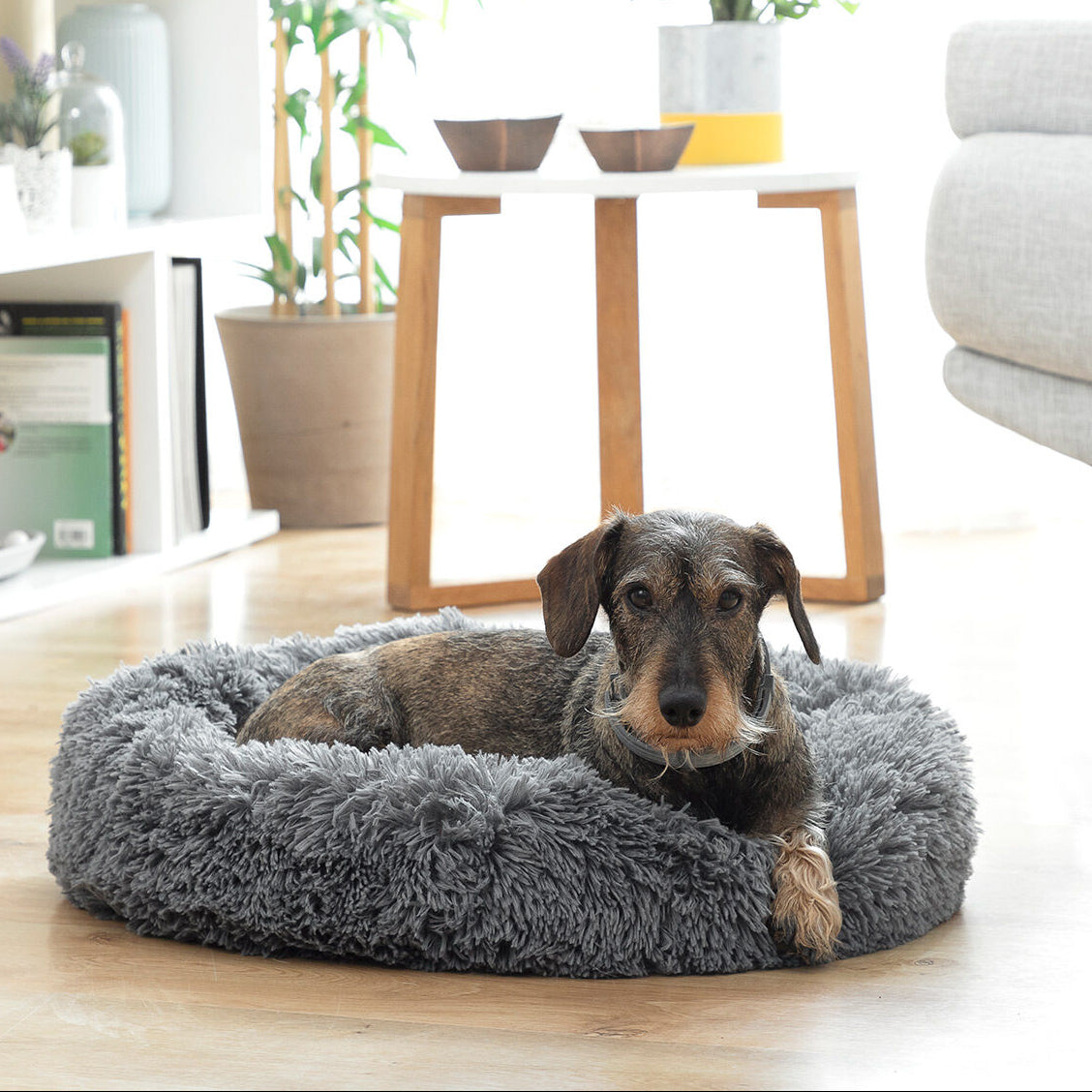 V15H0D44FFA1E877D3111D1B5BEE97F87D65R5275103P1