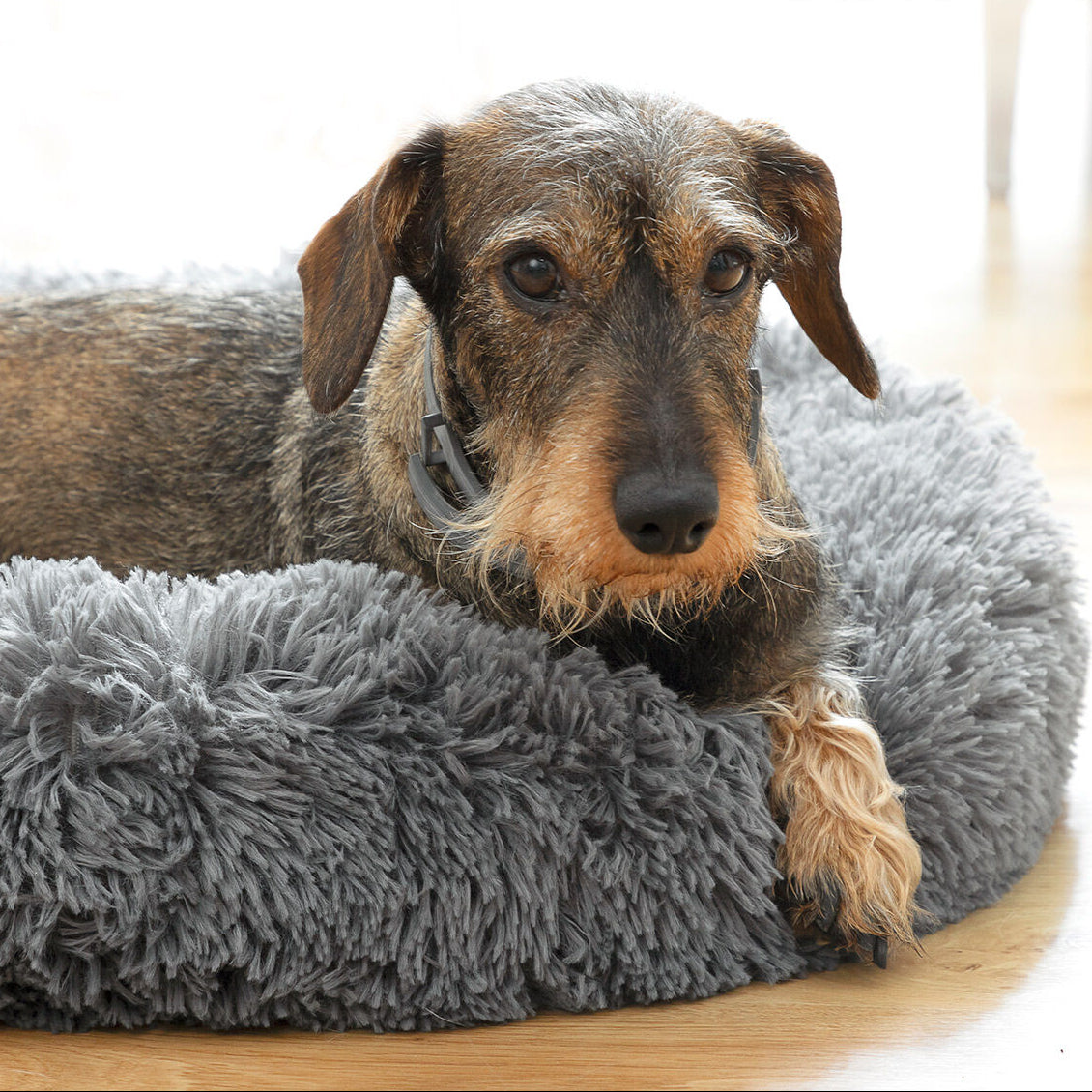 V15HF8C16376A9627267841F9503F3E4C595R5275108P4