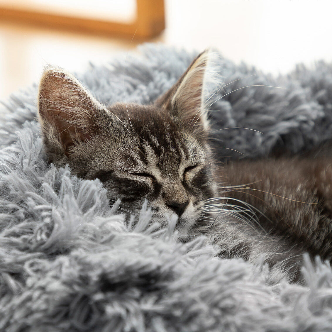 V15H7E582E18D15796B122370A68D8E2BF15R5275116P7